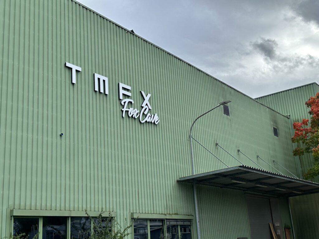 Ferienbetreuung im TMEX