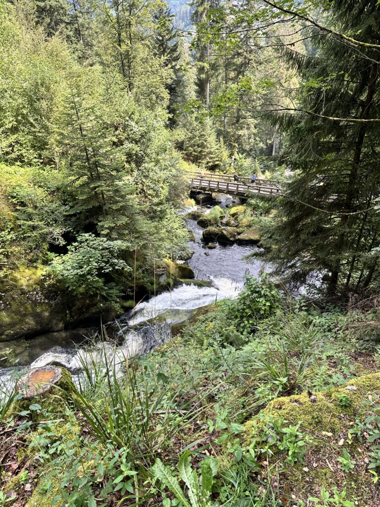 Ferienbetreuung im Wald